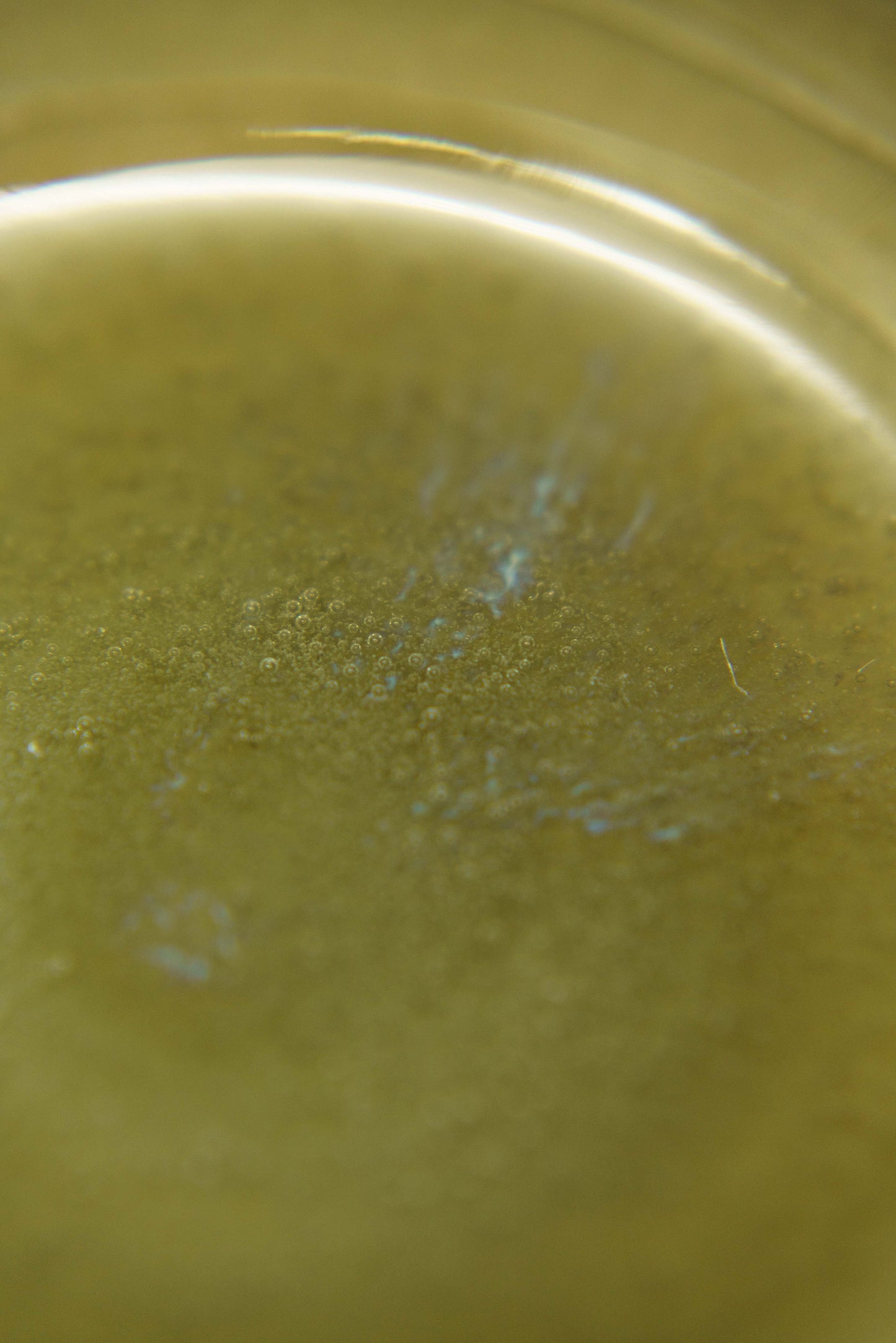 Light Green Curvy Bowl