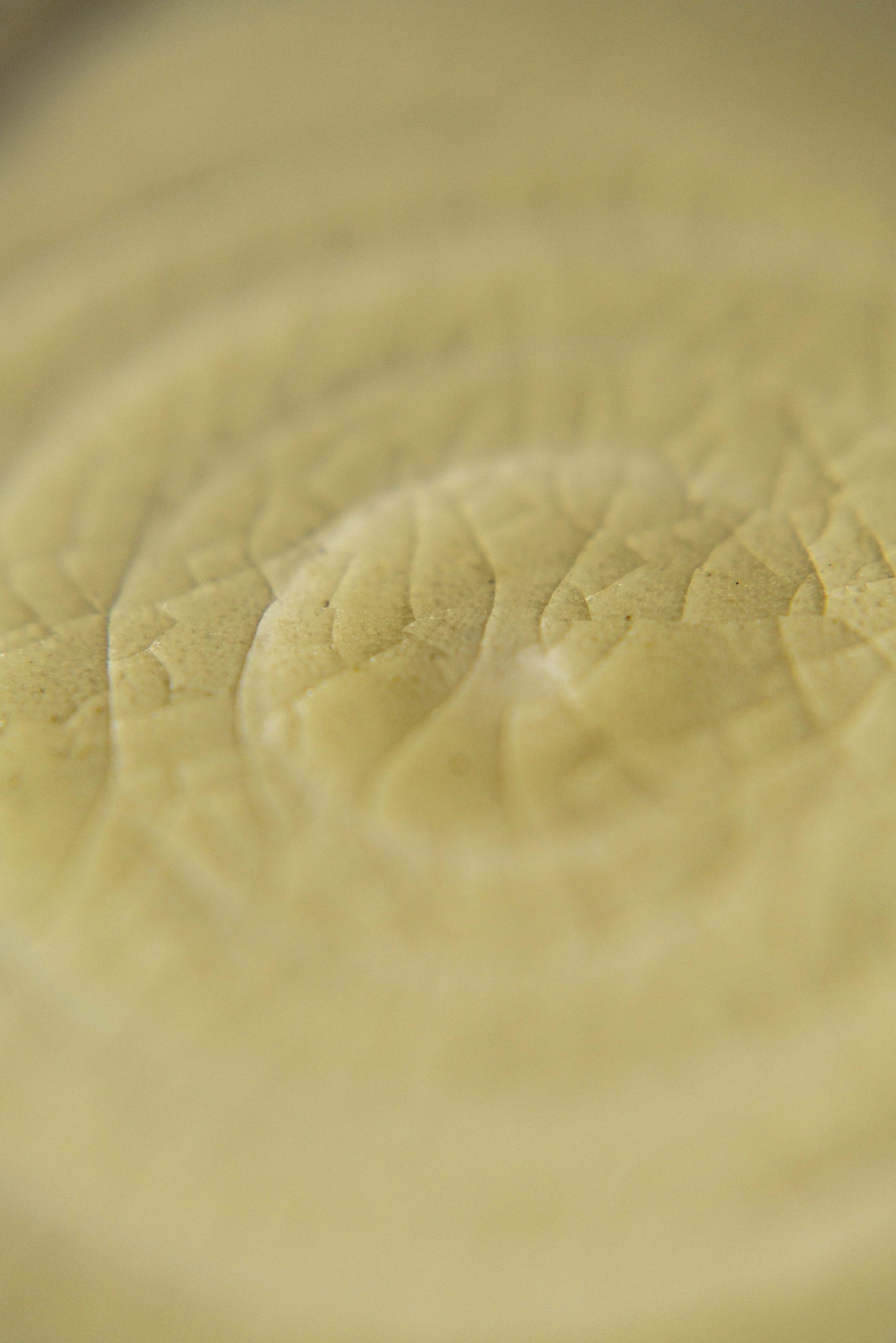 Swirled Trinket Dishes