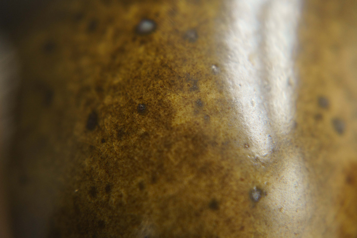 Speckled Brown Teacup