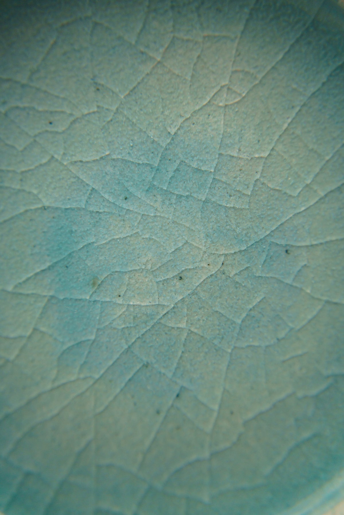 Blue Flat Rim Plate