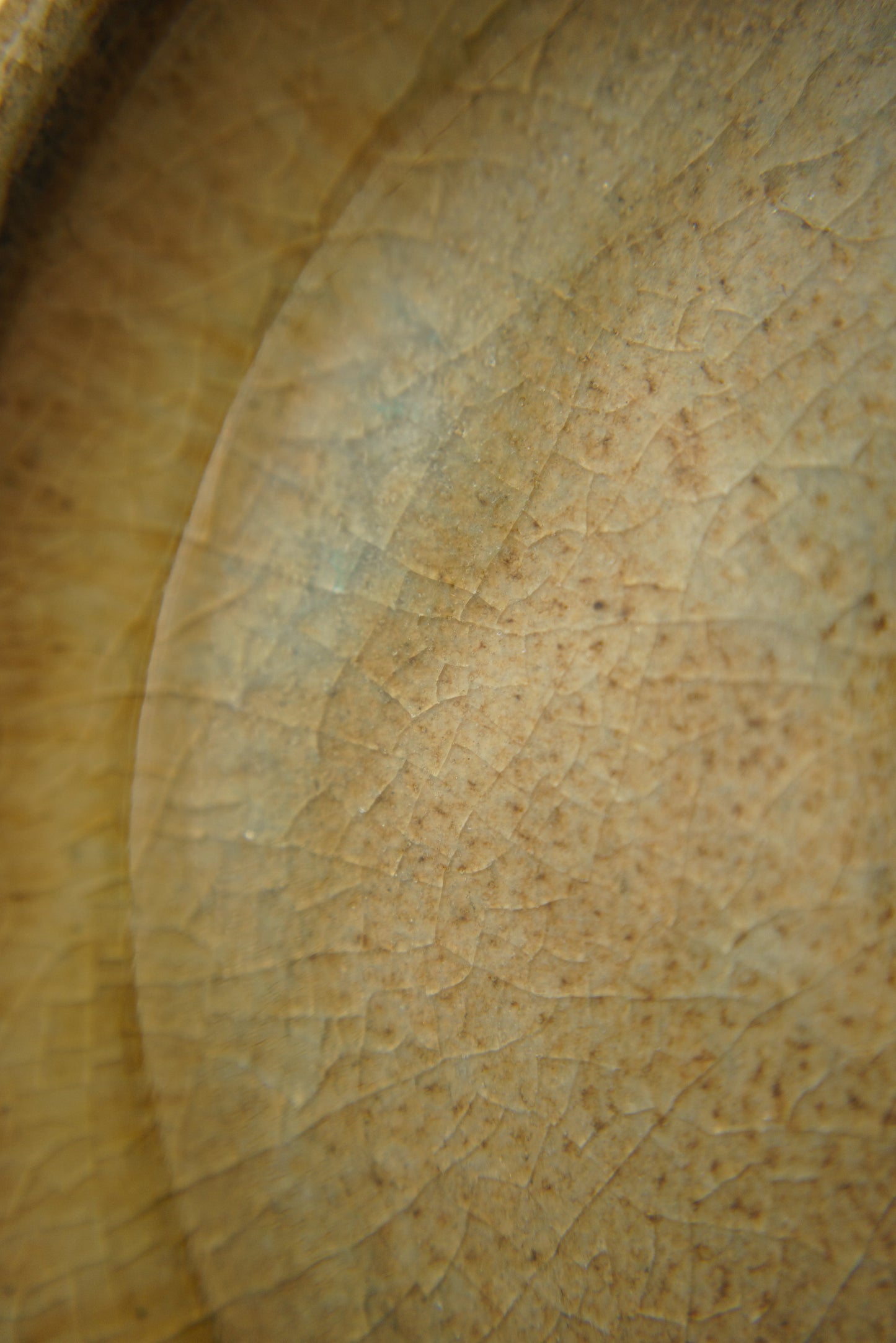 Spotted-Mustard Curved Plate