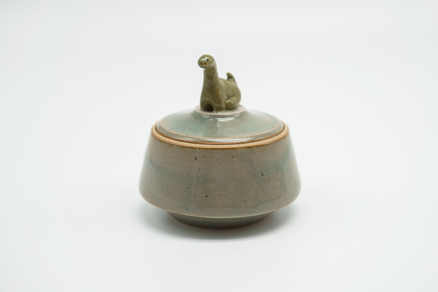 Dinosaur Jar