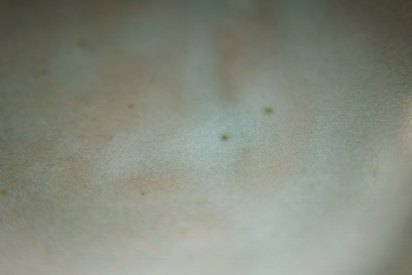 Small Shallow Bowl in Light Blue