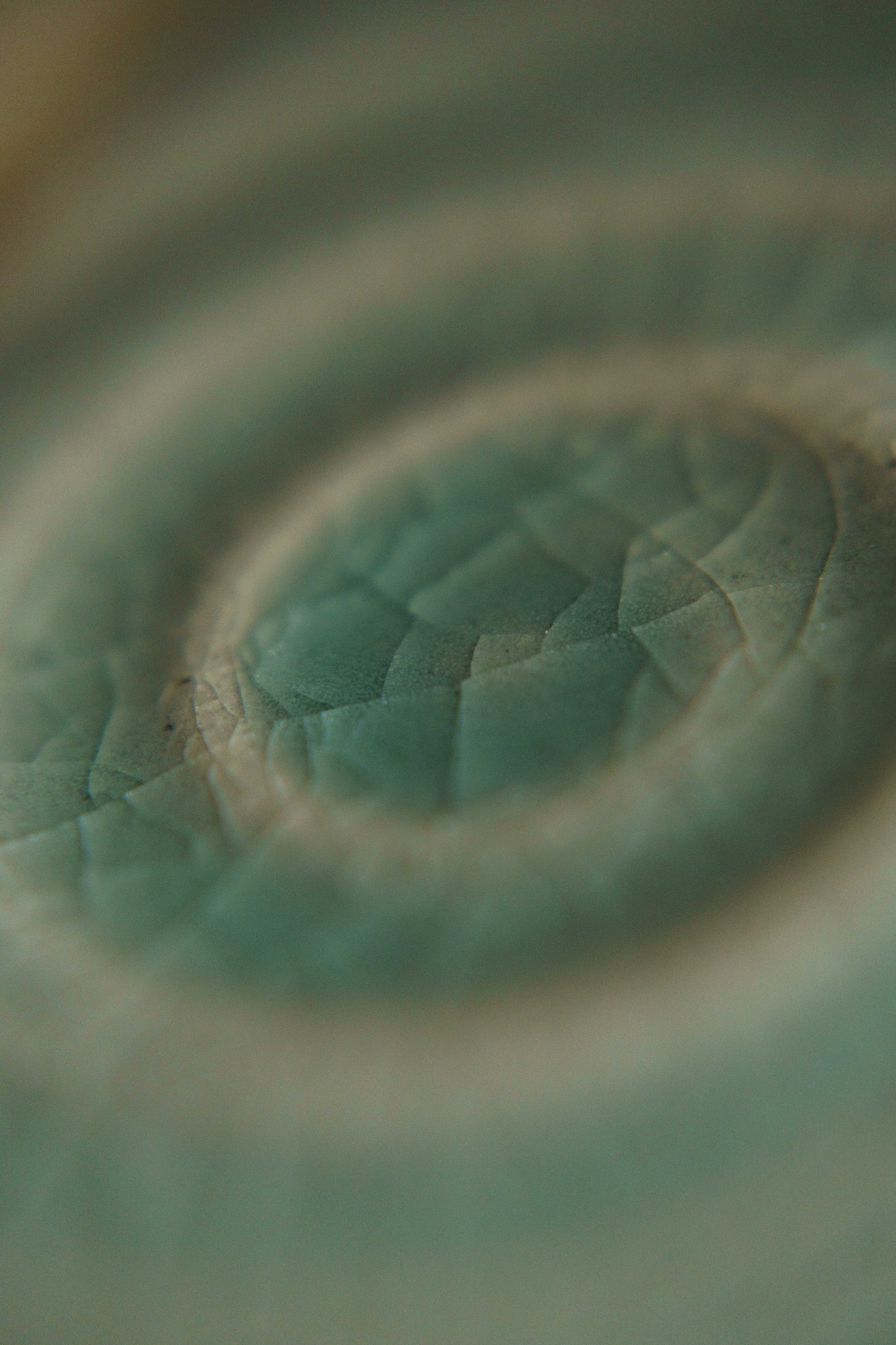 Set - Celadon Swirly Cup and Coaster