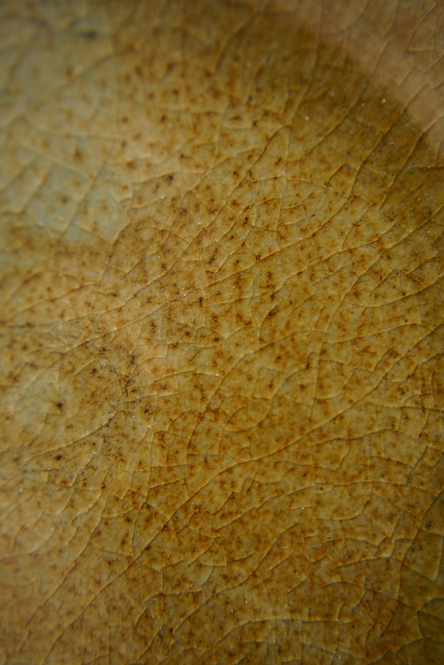 Spotted-Mustard Curved Plate