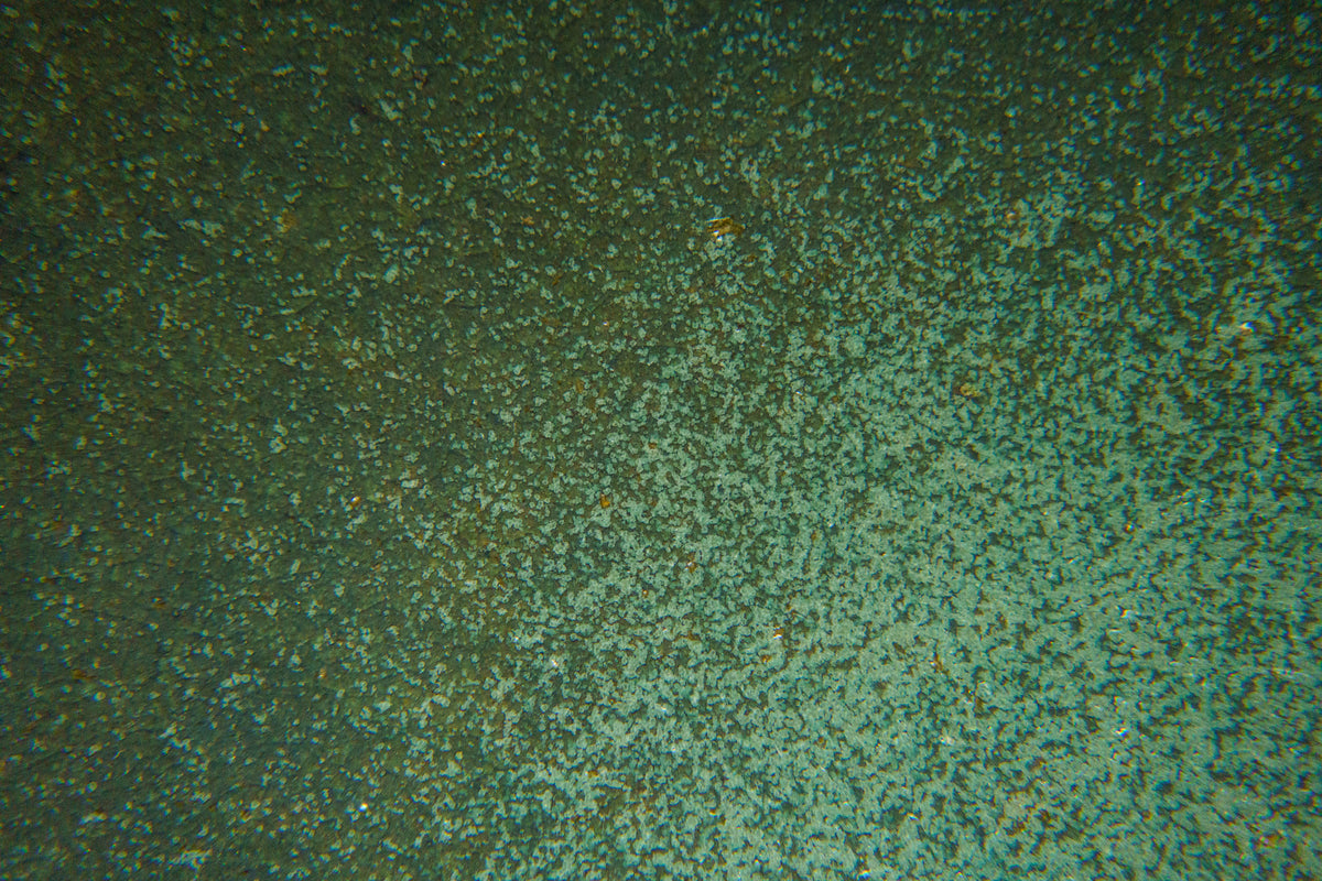 Medium Bowl in Dark Oribe Green